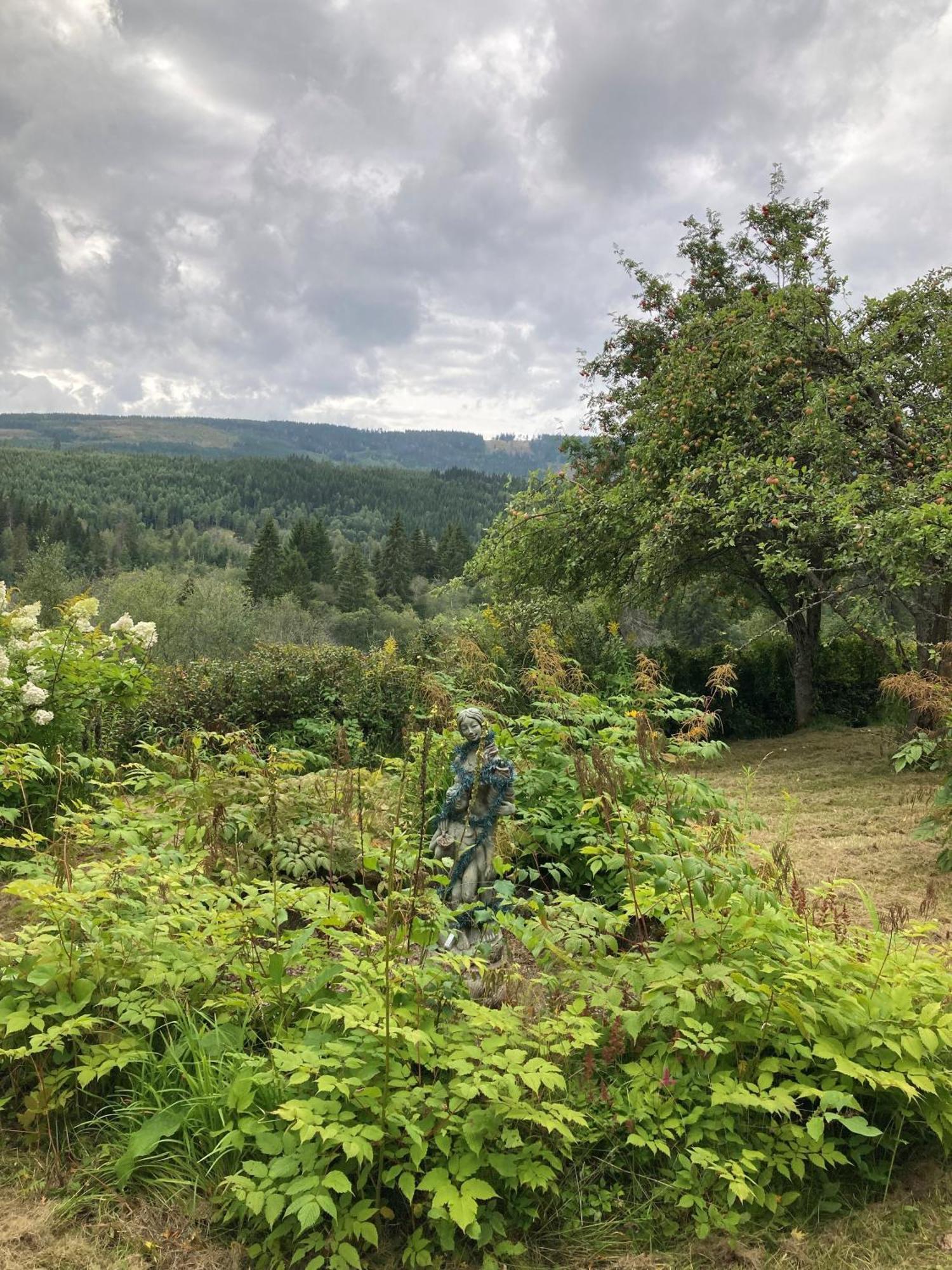 Charmig Villa Med Bastu Och Snabbt Wifi Långav Dış mekan fotoğraf