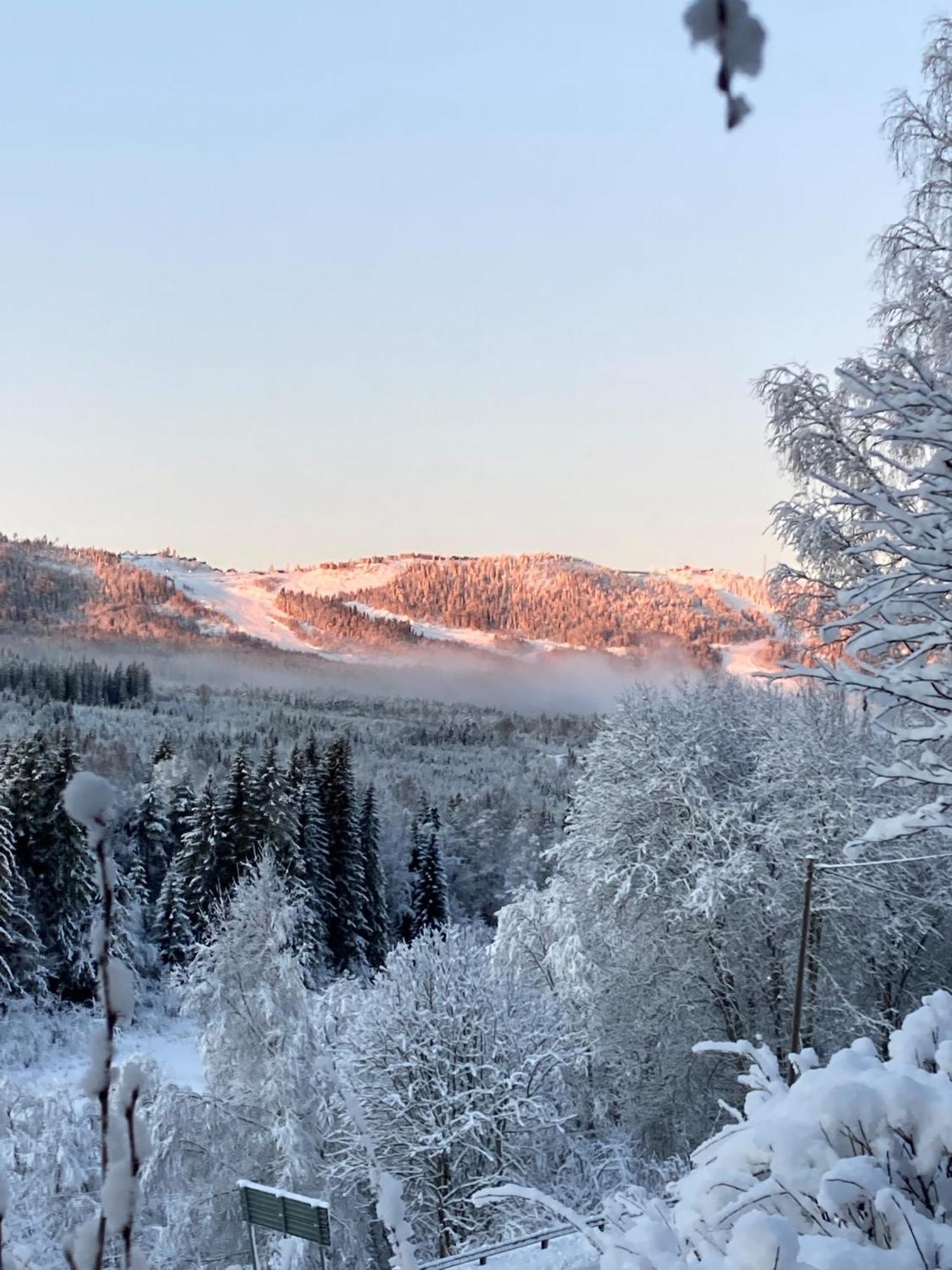 Charmig Villa Med Bastu Och Snabbt Wifi Långav Dış mekan fotoğraf